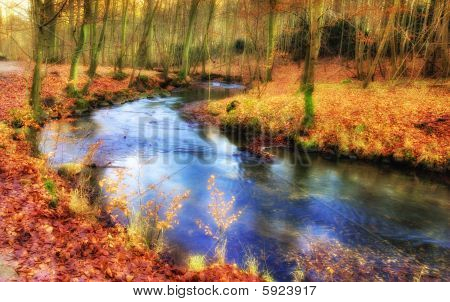 Rivier en het bos in de herfst