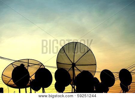 Satellite Dish