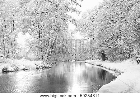 Winter Wey