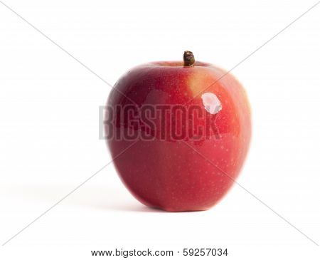 fresh apple on a white background