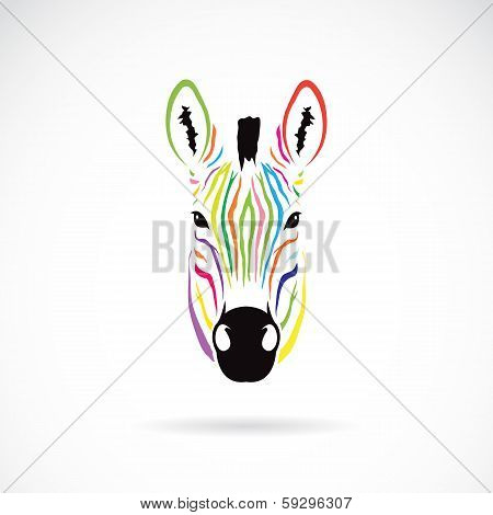 Vector Image Of An Zebra Head Colorful