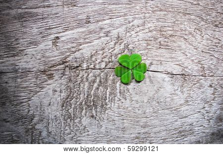 Fresh Green Clover Leaves Over Wooden Background, Lucky Shamrock