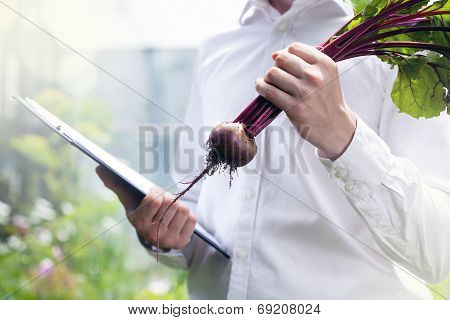 Beet Contol In A Garden