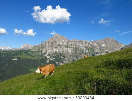 Summer Scene In The Swiss Alps