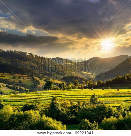 Field Near Home At Sunset