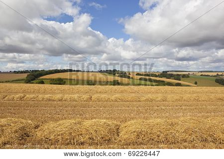 Scenic Harvest Landscape