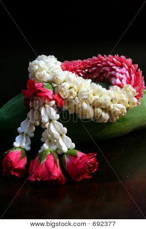 Garland Jasmine Thai