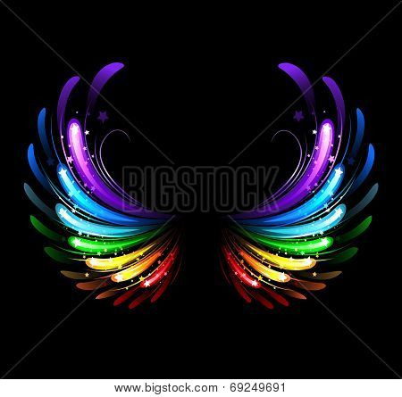Rainbow Wings