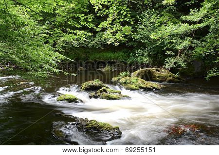 Harz National Park