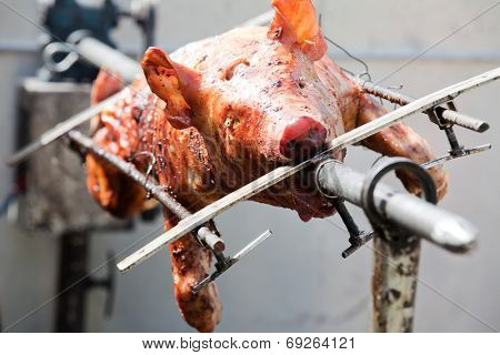 Delicious grilled pigling barbecue