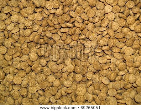 Dog food