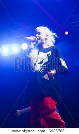 BONTIDA - JUNE 19: Die Antwoord, the South African rap-rave band from Cape Town performs live at Electric Castle Festival at June 19, 2014 in the Banffy castle in Bontida, Romania