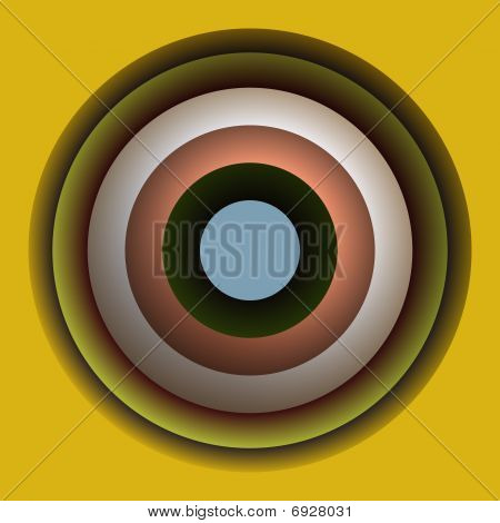 วงกลมสี