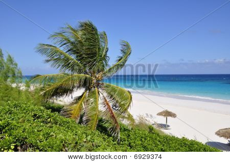 Caribean Beach