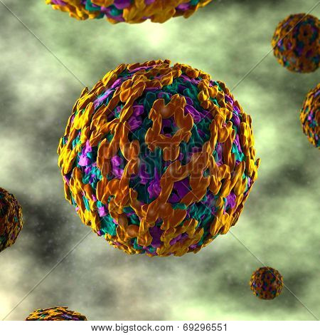 Yellow Fever Virus - in fluid
