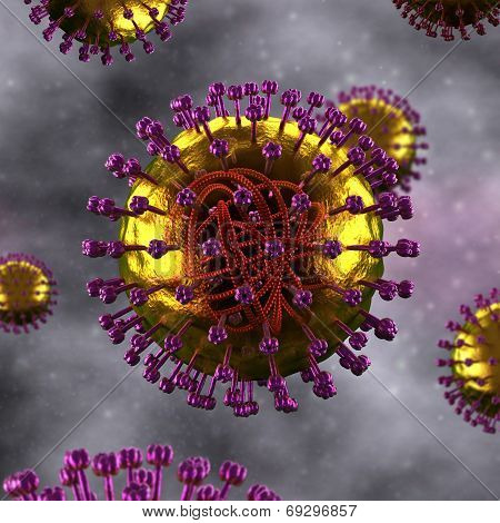 Measles Cell - Microbiology detailed view