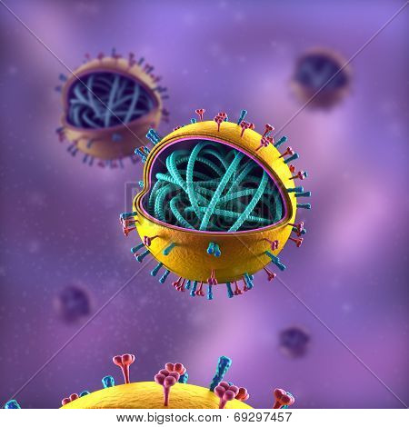 Flu Cell - H5N1, H1N1 - Generic Structure - in fluid