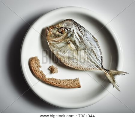 Moonfish salata con crosta di pane sulla piastra bianca