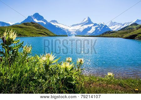 Swiss Beauty, Schreckhorn And Wetterhorn, Switzerland.