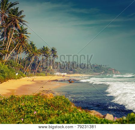Sandy beach with palm trees and ocean with waves. Midigama beach, Sri Lanka