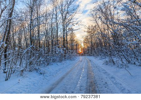 Rustic Road In Winter