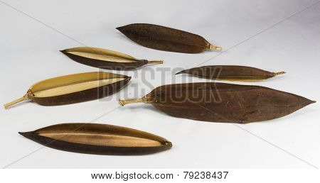 Pod