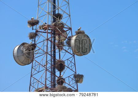 Communications Tower Blue Sky