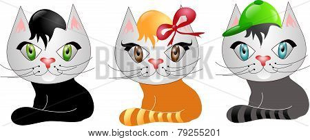 Three Cats