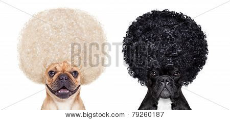 Good And Bad Dogs
