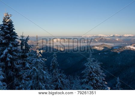 Sunrise In Winter Mountains - Greater Fatra, Slovakia