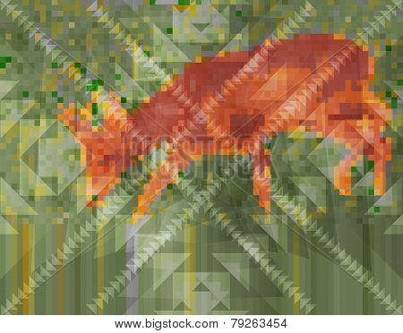 Deer
