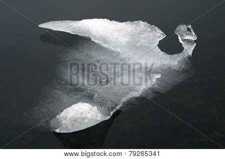 A small block of ice like a bird