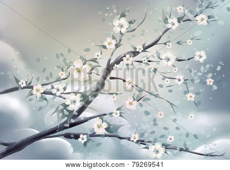 Flower asia
