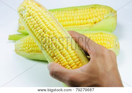 Corn