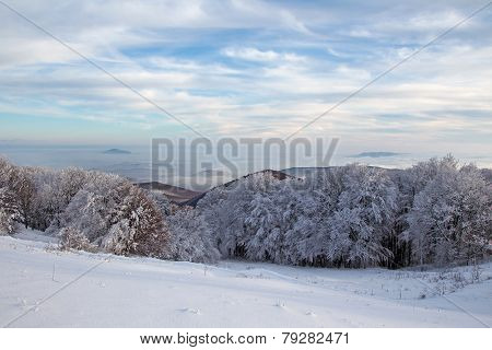 Winter landscape