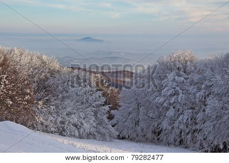 Winter landscape