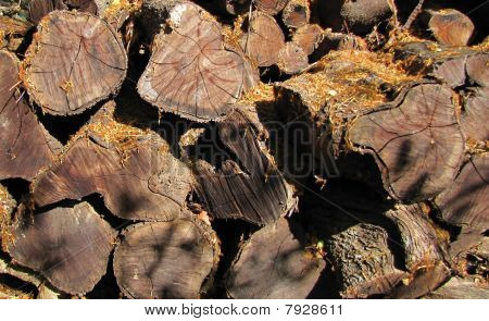 Mucchio di legno Kiawe