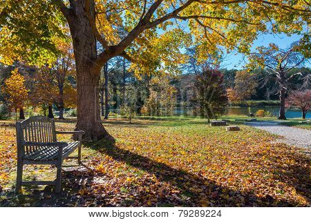 Meadow In Autumn Park With Bench Under Big Tree