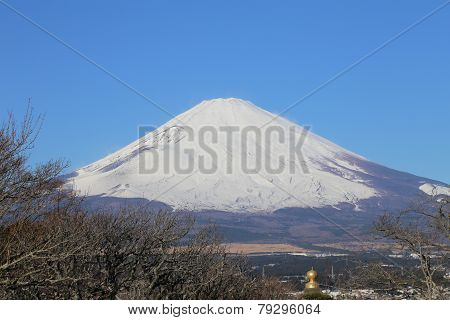 Mount Fuji