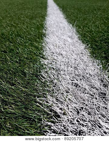 Grass