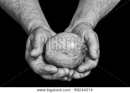 Senior Hands