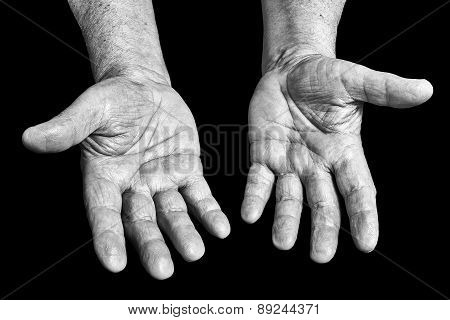 Senior Hands