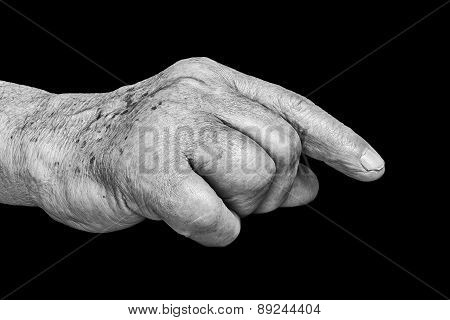 Senior Hands