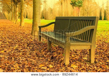 Bench