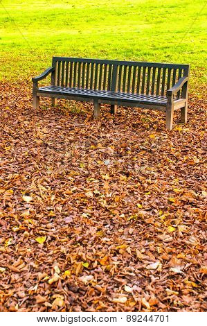 Bench