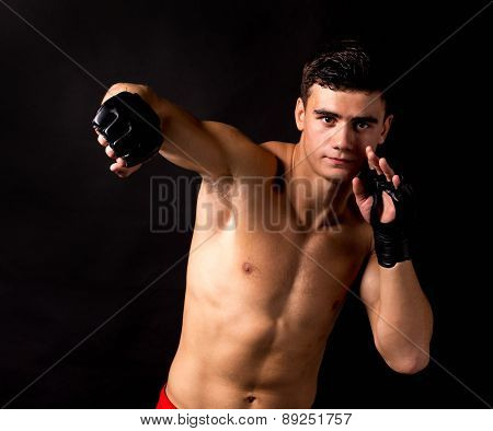 Portrait of boxer posing studio in gloves.
