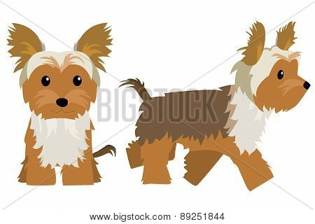 Dog front and side