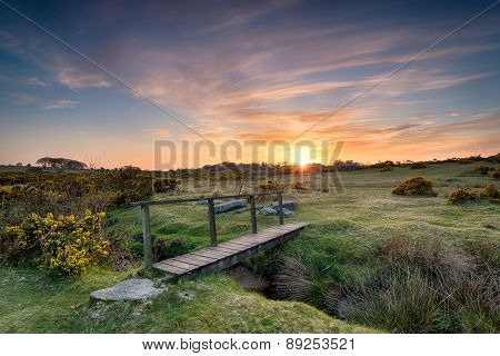 A Wooden Bridge On The Moor