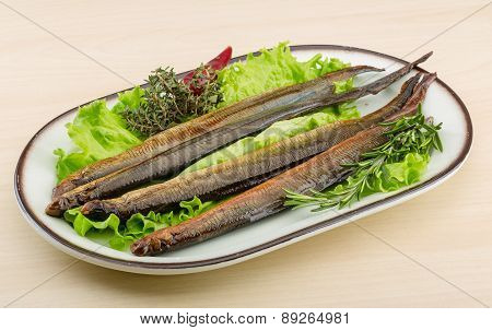 Lamprey