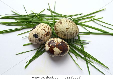 Quail eggs